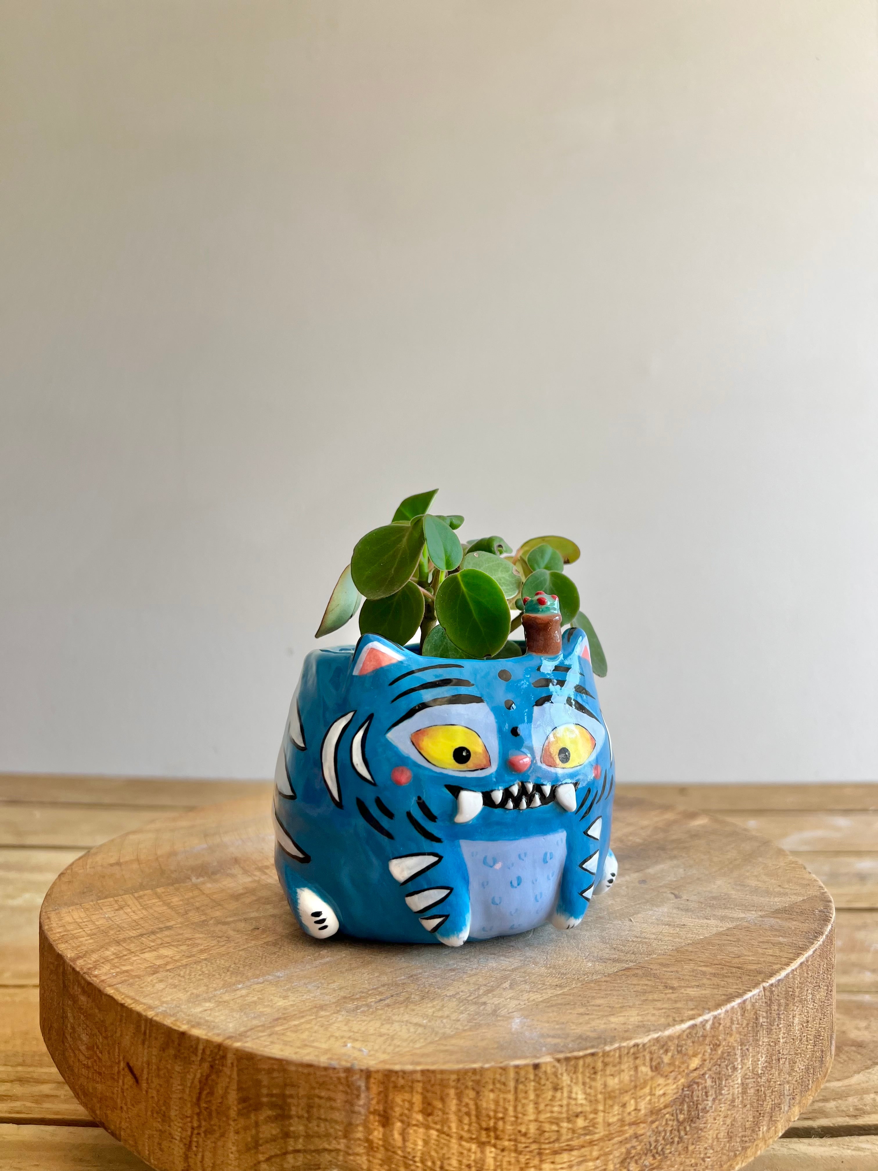Small Derpy Pot