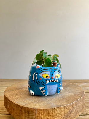 Small Derpy Pot