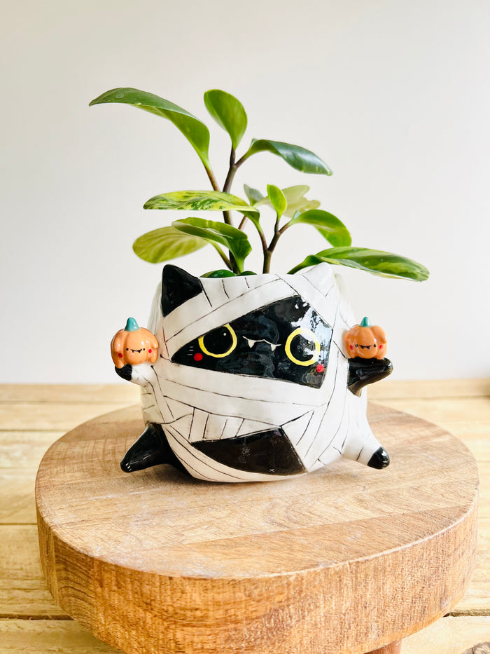 Mummy kitty pot with pumpkin friends