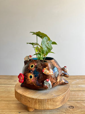 BIG mama Tortie pot