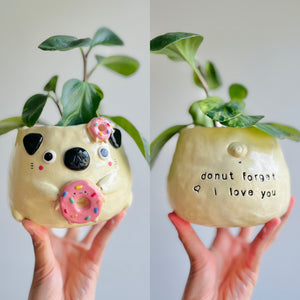 Donut pun love puggo pot