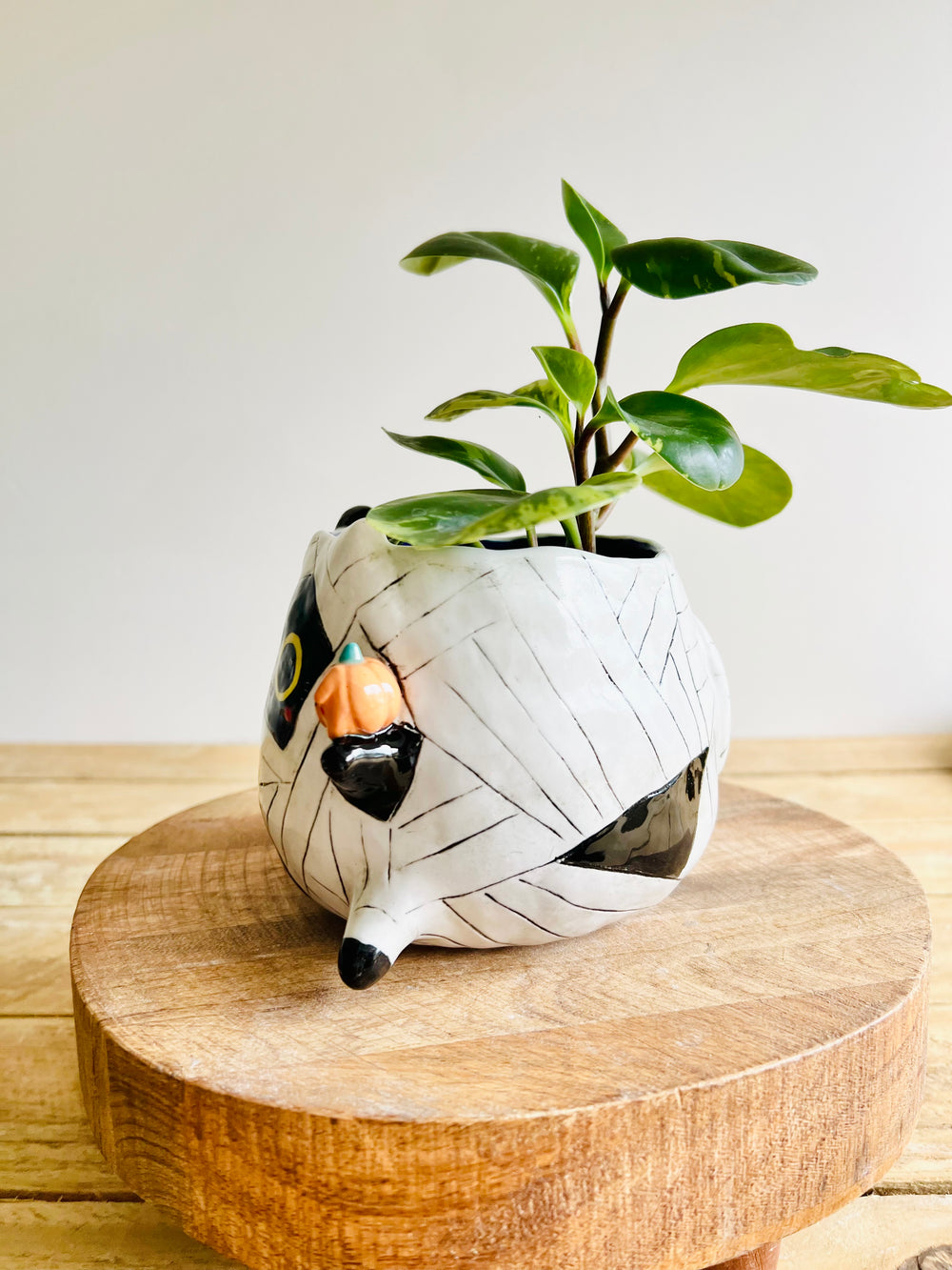 Mummy kitty pot with pumpkin friends, photo 4 of 8