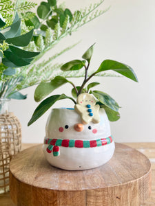 Festive snowman pot with gingerbread friend just chillin’ on its head