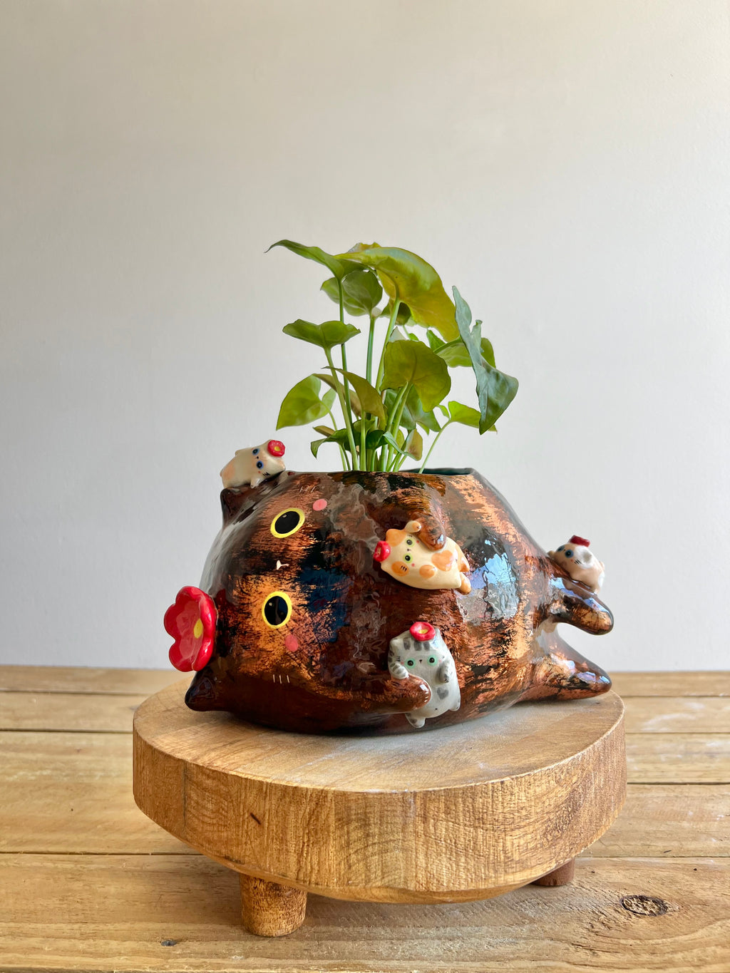BIG mama Tortie pot