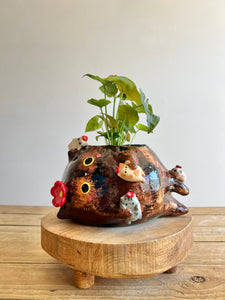 BIG mama Tortie pot