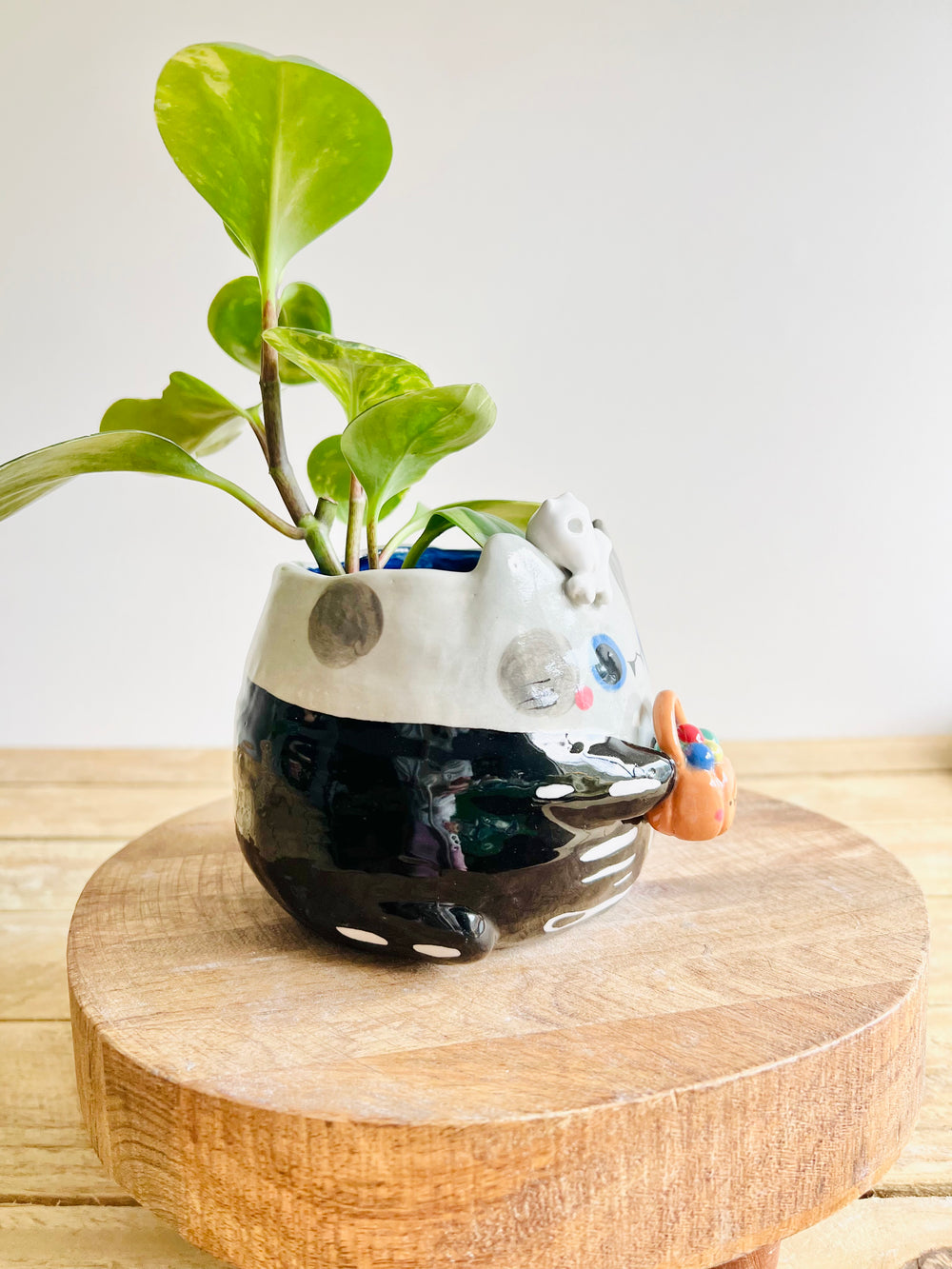 Trick or treat skeleton kitty pot, photo 2 of 10