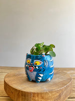 Small Derpy pot