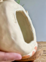 Desk ornament/trinket holder