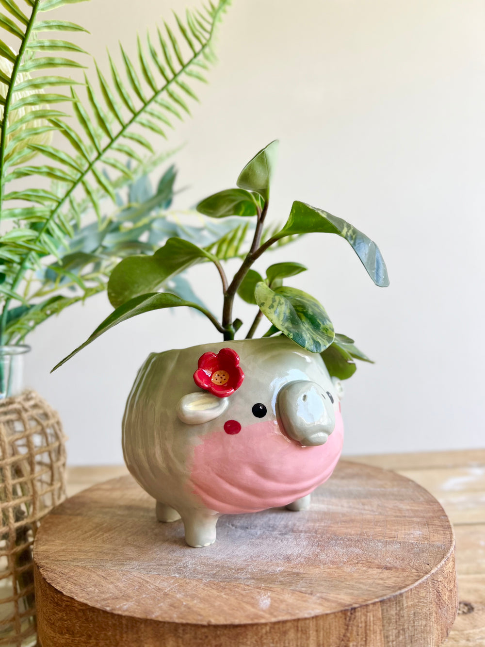 LARGE MOO DENG planter #2, photo 12 of 13