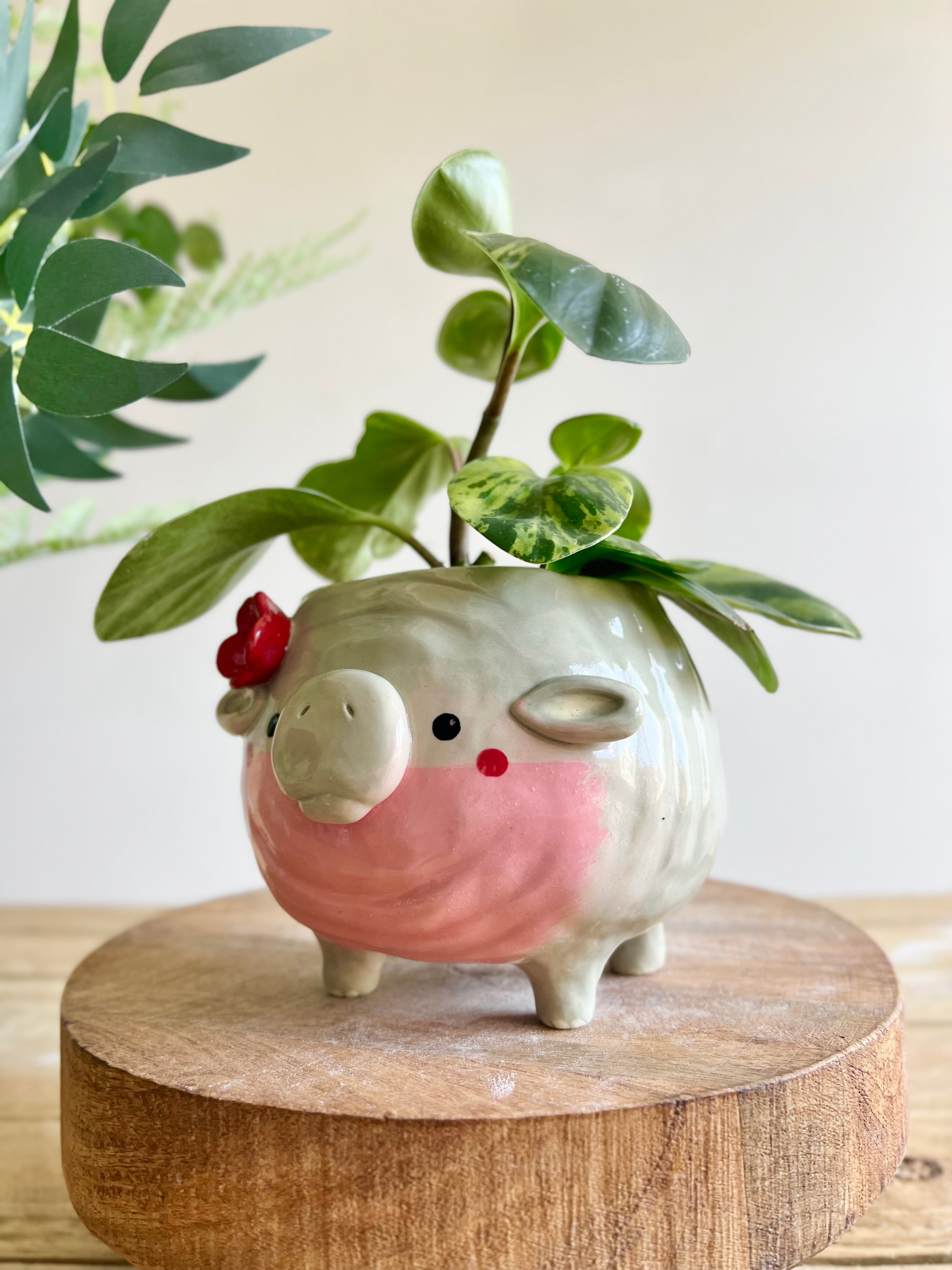 LARGE MOO DENG planter #1