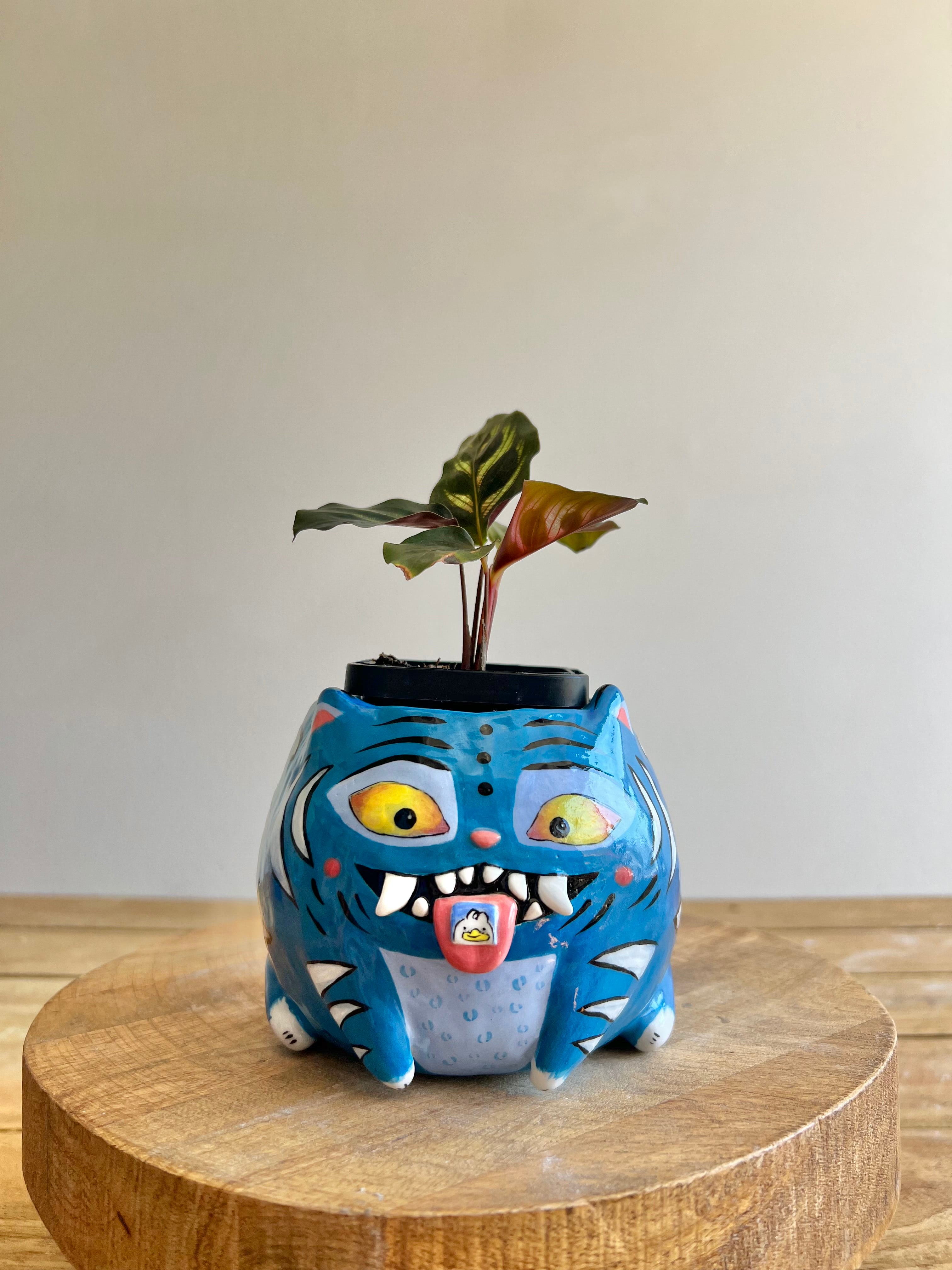 Large Derpy pot