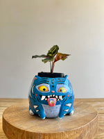 Large Derpy pot