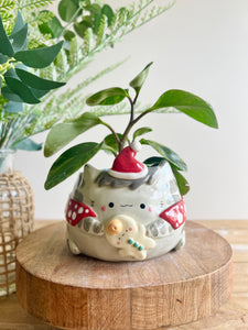 Festive grey cat pot with gingerbread friend