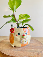 Ginger Cat Pot with Cactus Cat Pot