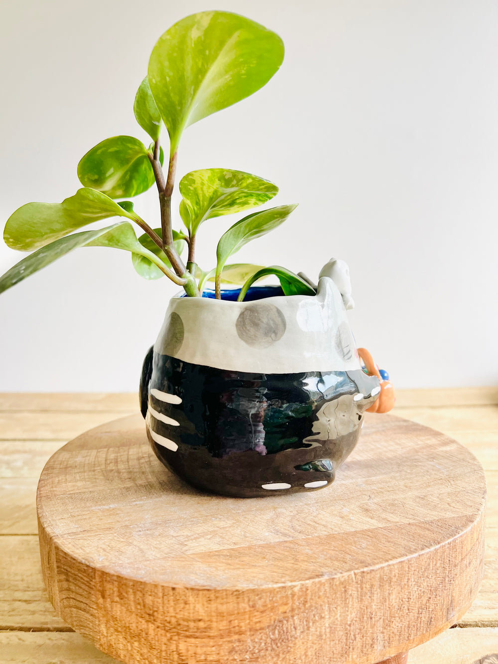Trick or treat skeleton kitty pot, photo 3 of 10