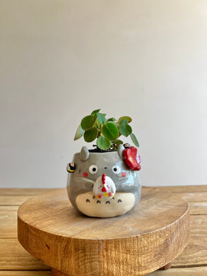 Planter pot
