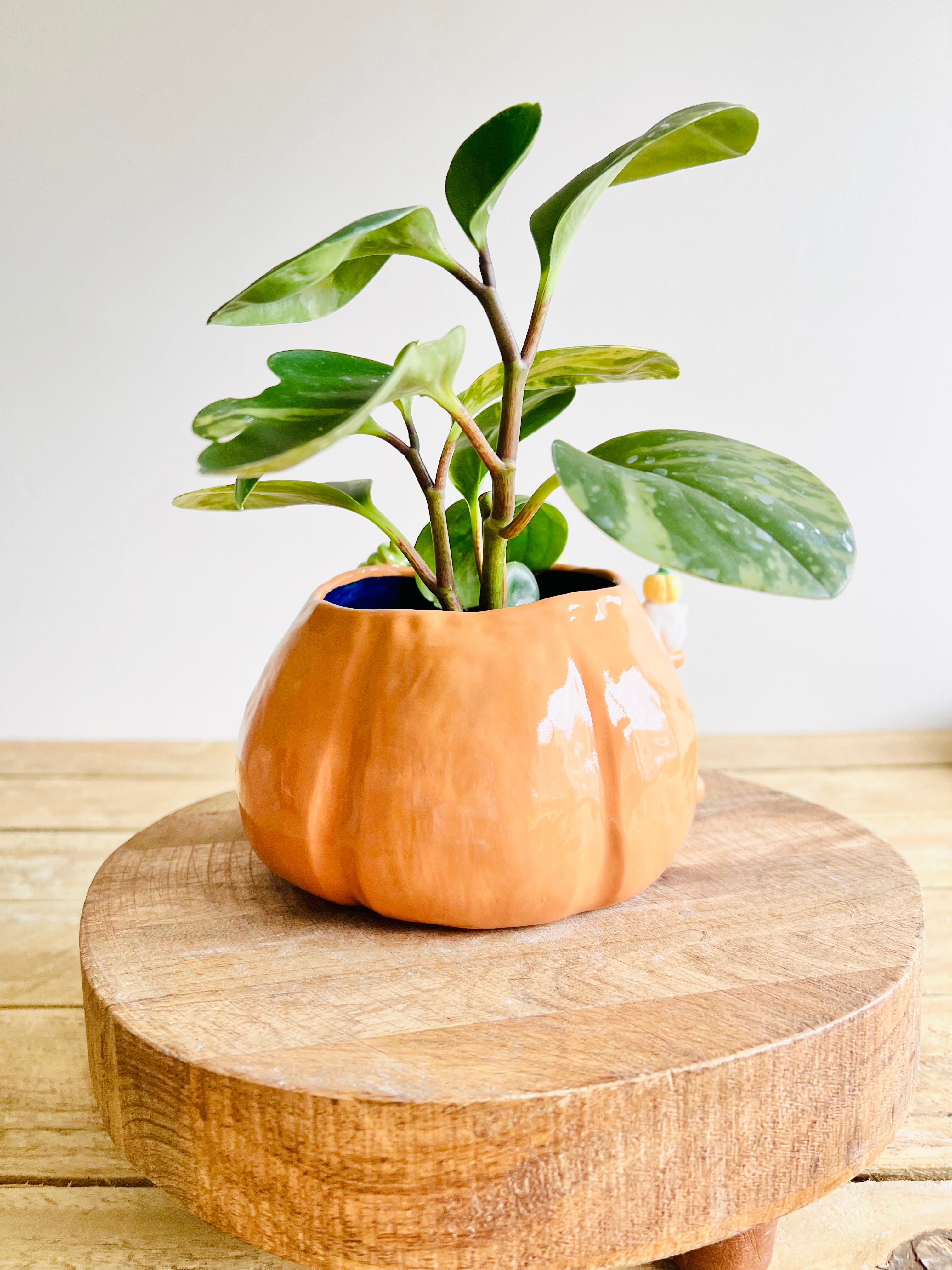 Pumpkin pot with ghost and baby pumpkin friends