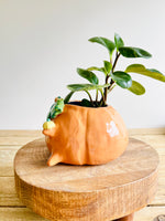 Pumpkin pot with ghost and baby pumpkin friends