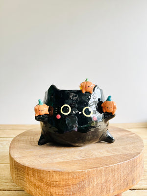 Black cat pot with pumpkin friends