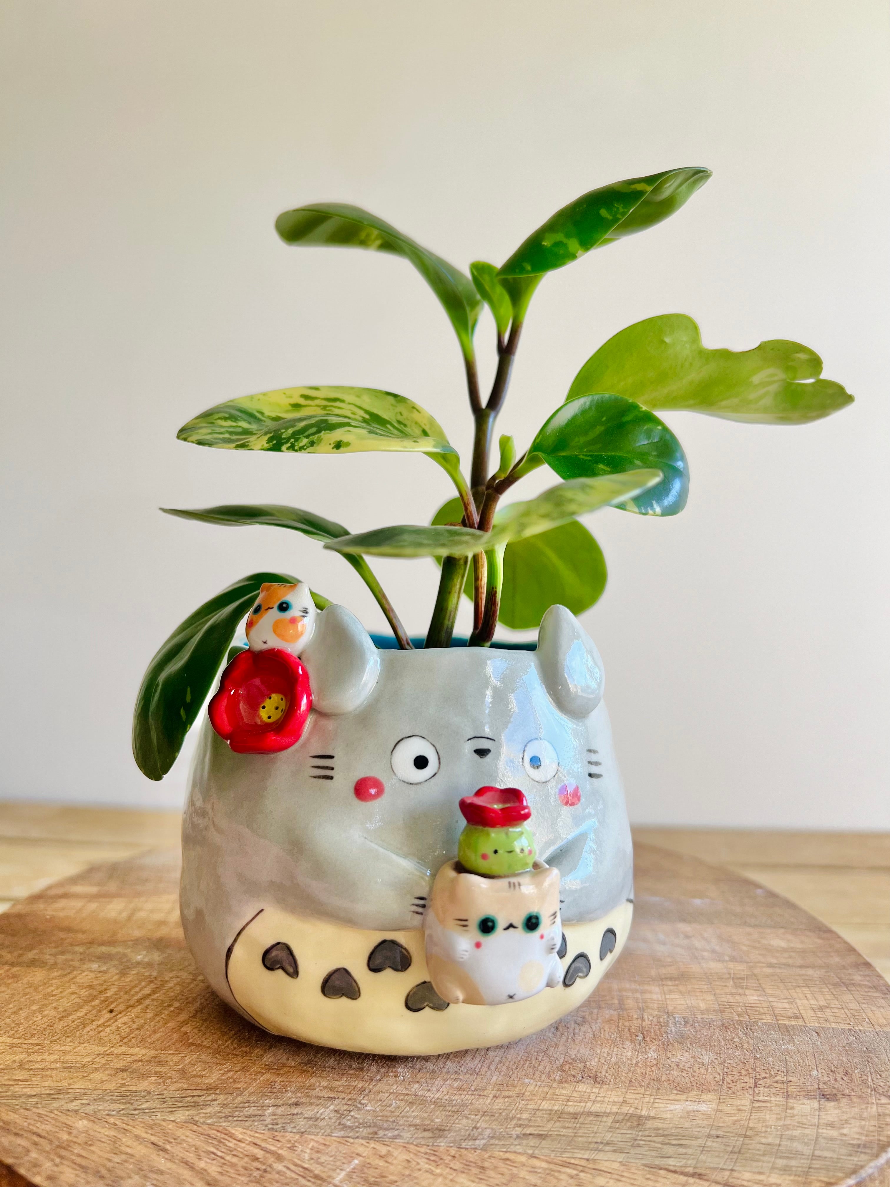 Totoro pot with cat pot and friend