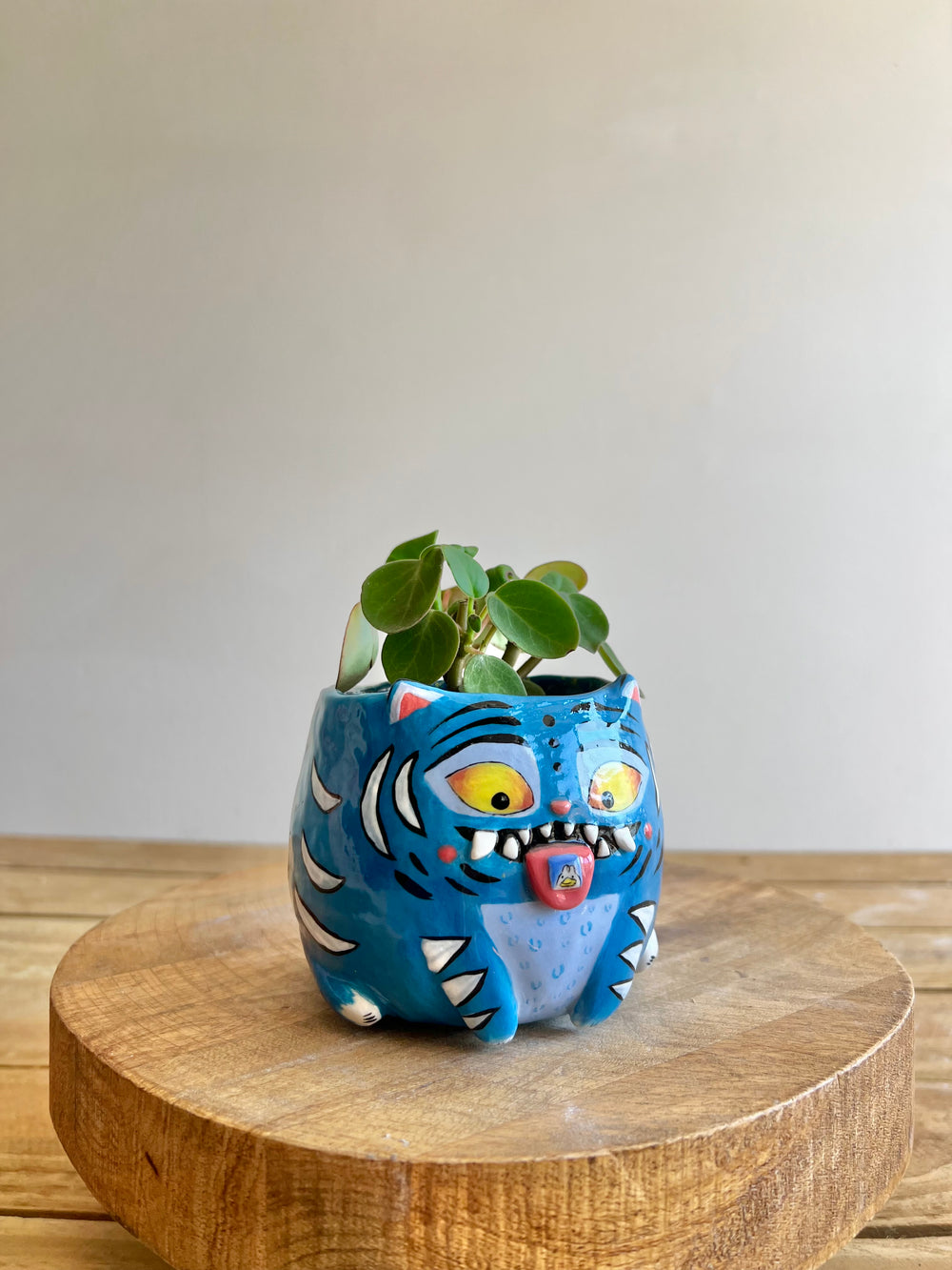 Small Derpy pot, photo 11 of 12