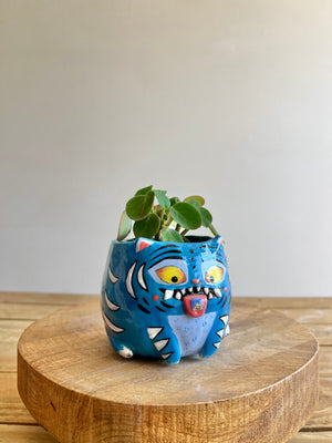 Small Derpy pot