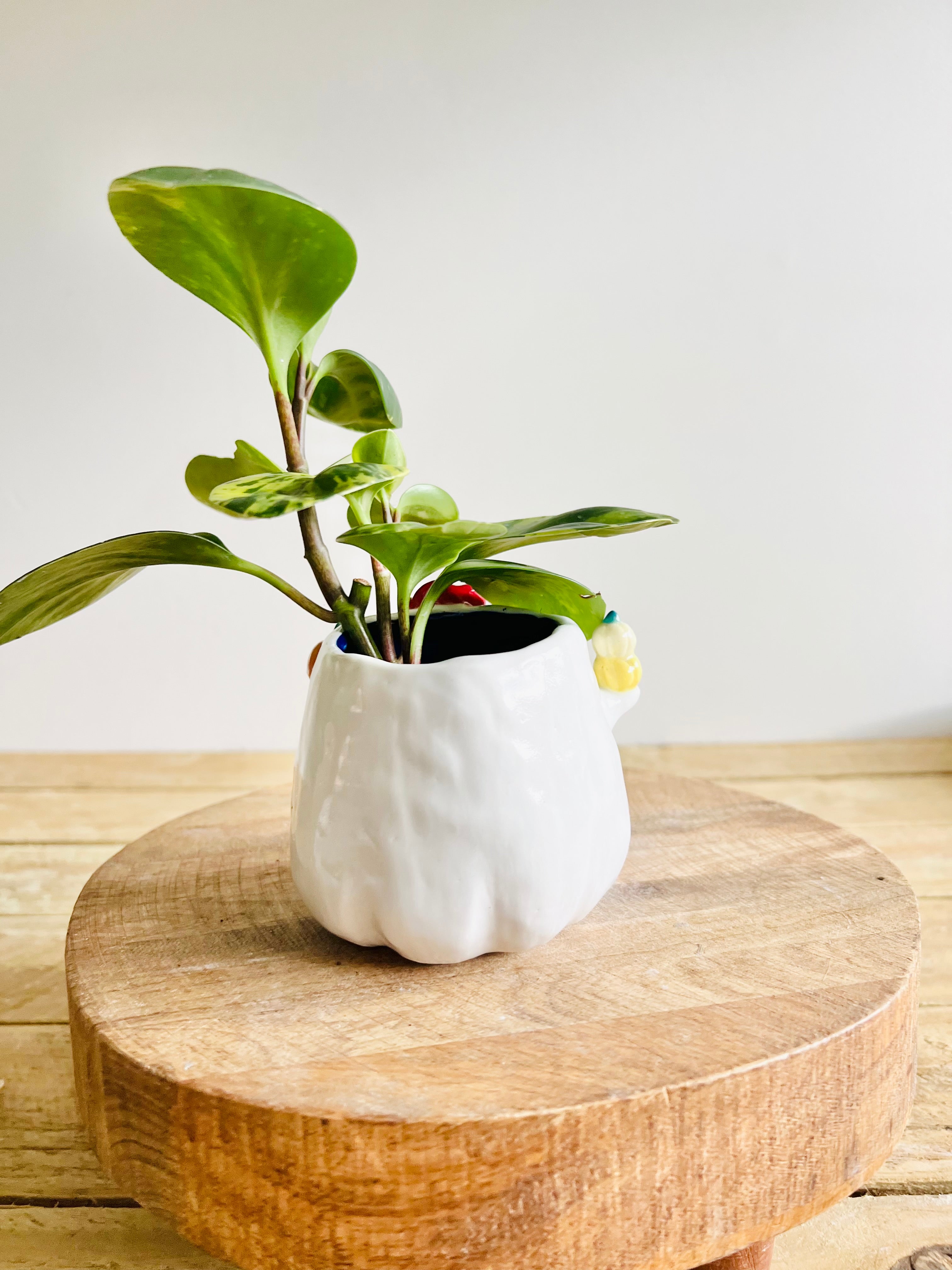 Ghost pot with pumpkin friends