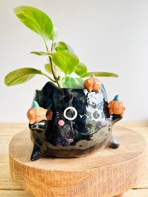 Black cat pot with pumpkin friends