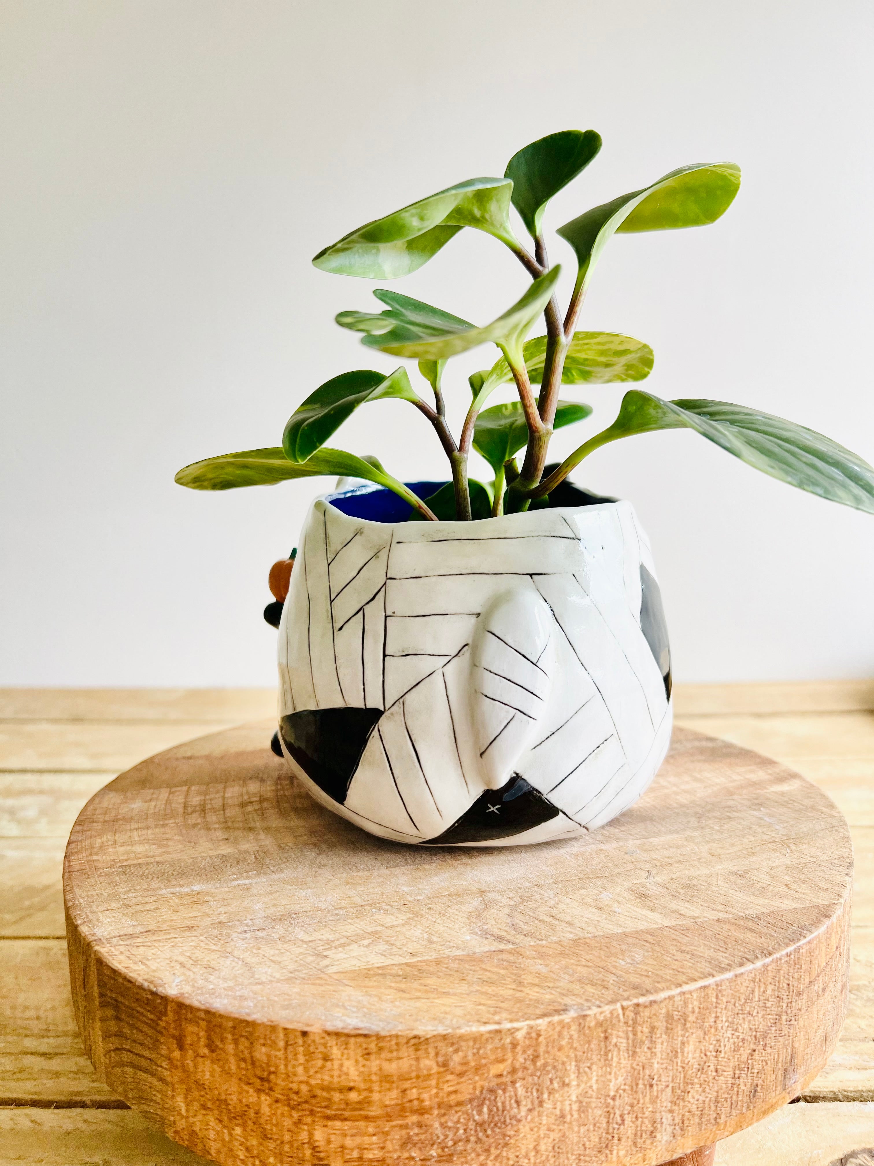 Mummy kitty pot with pumpkin friends