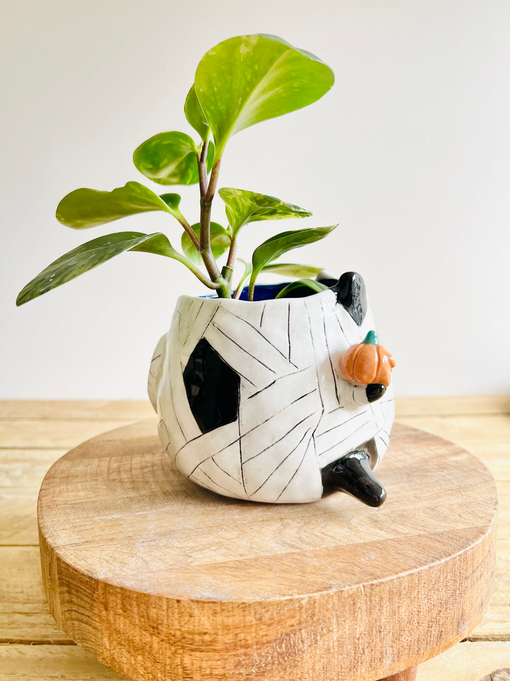Mummy kitty pot with pumpkin friends, photo 2 of 8