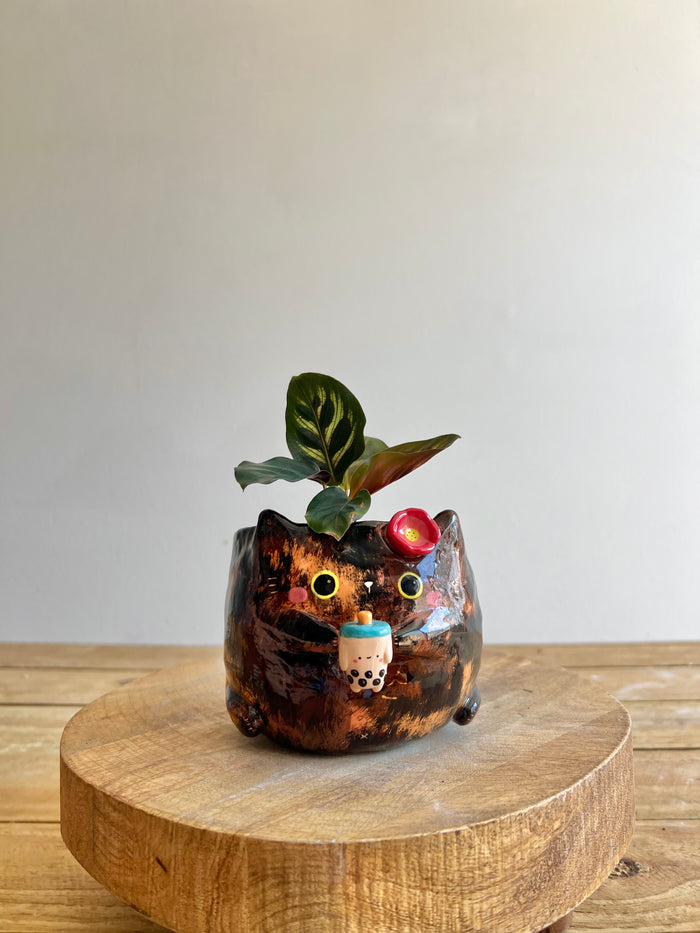 Tortie Pot