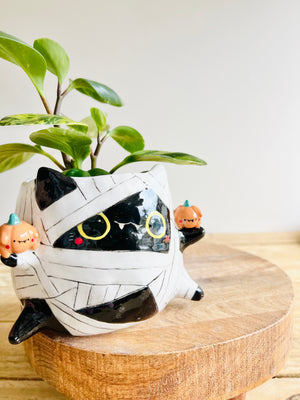 Mummy kitty pot with pumpkin friends