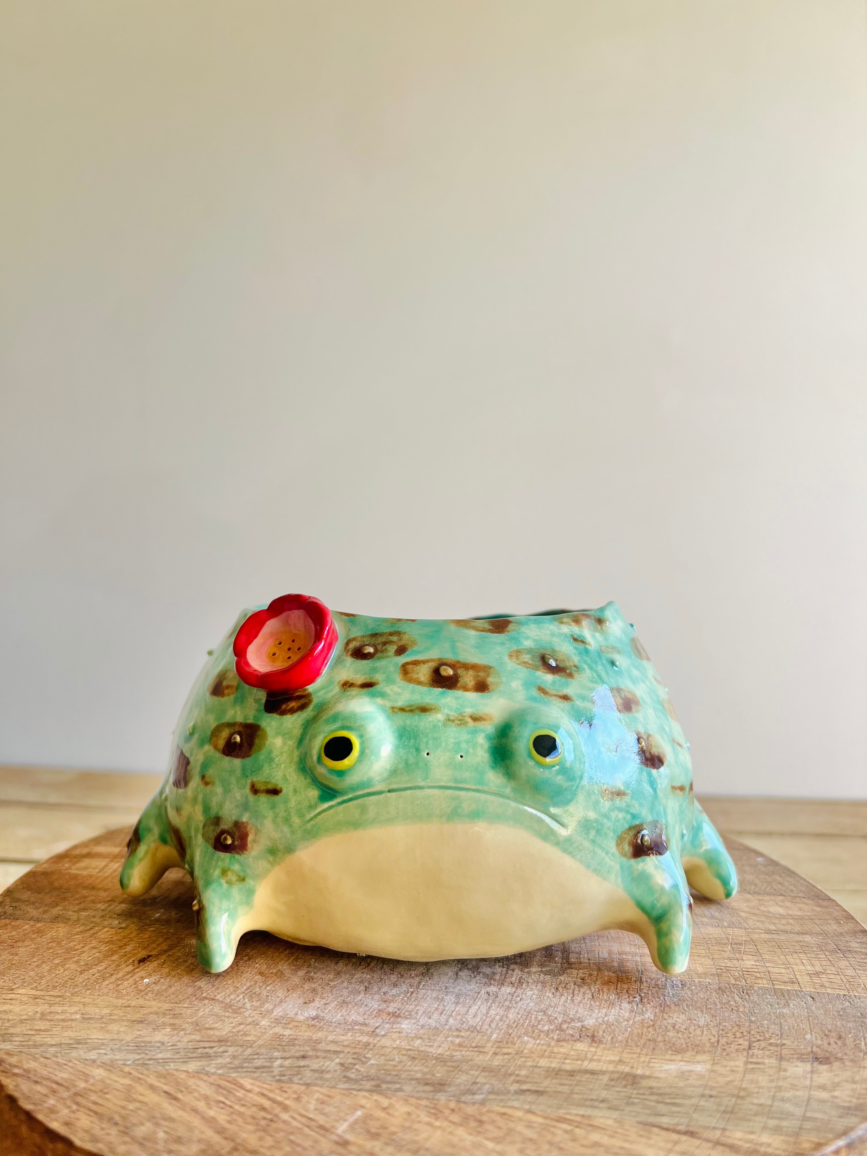 Big grump froggo pot