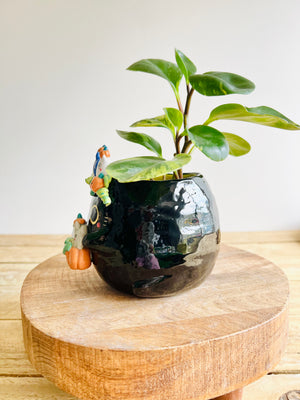 Black cat pot with Totoro and pumpkin friends