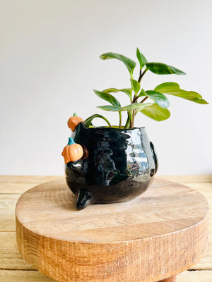 Black cat pot with pumpkin friends