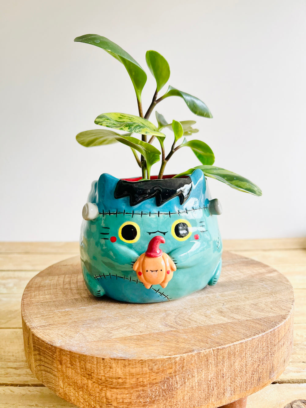 Franken-kitty pot with pumpkin friend, photo 1 of 9