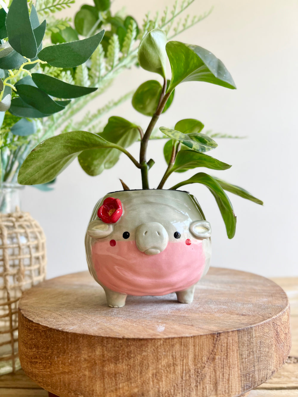 MOO DENG Small planter #3, photo 1 of 13
