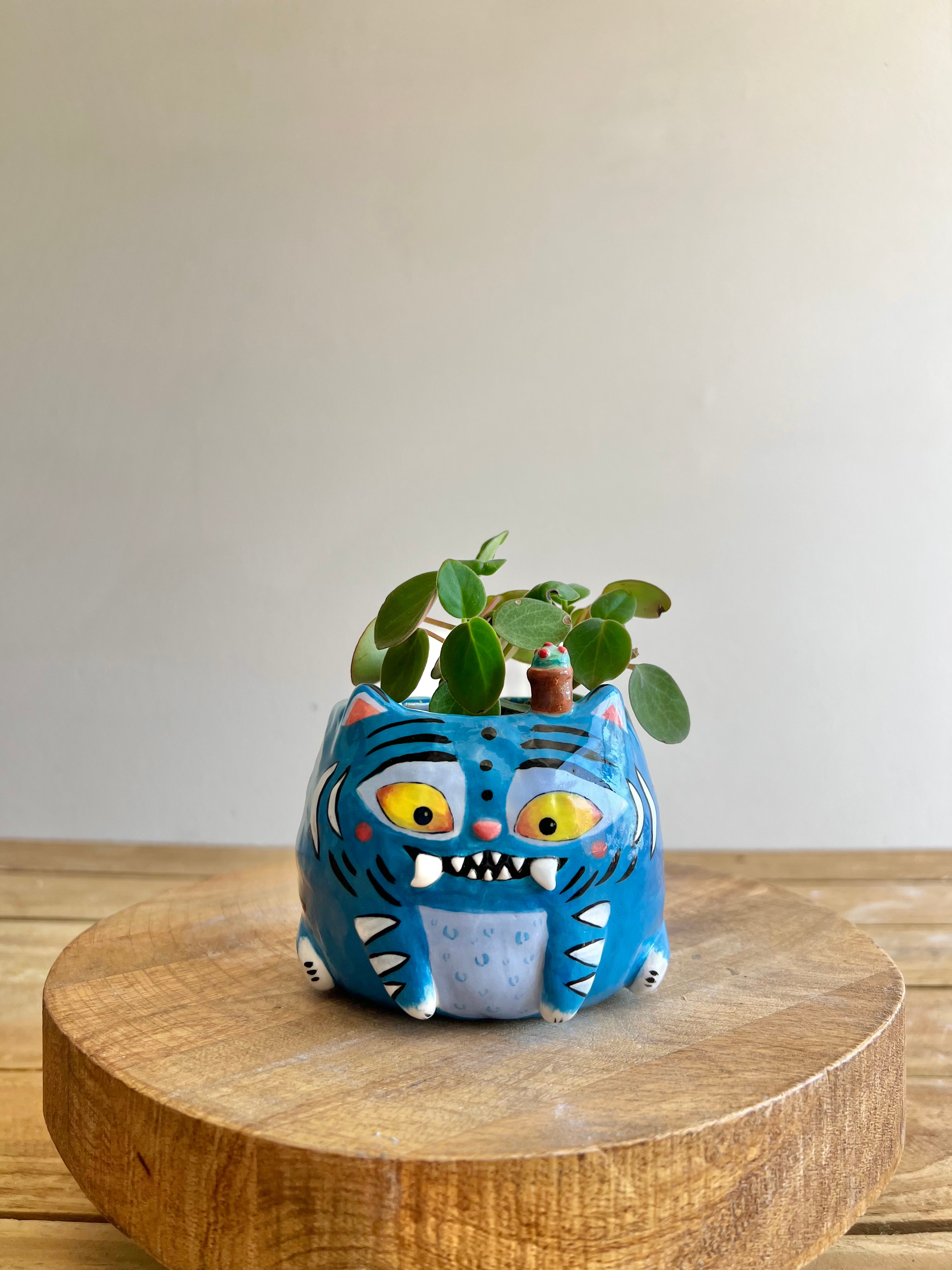Small Derpy Pot