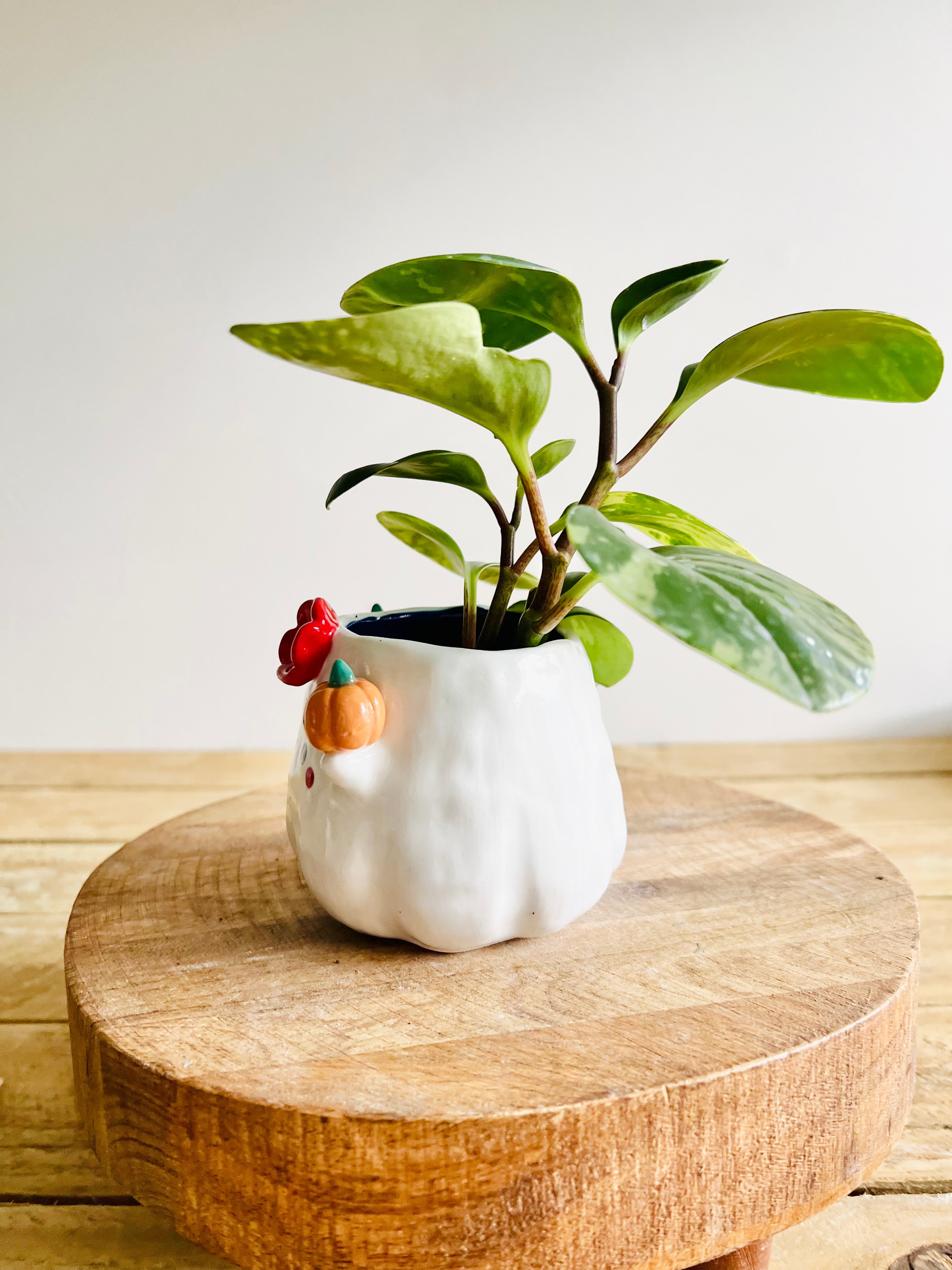 Ghost pot with pumpkin friends