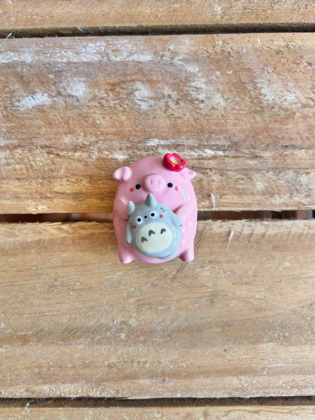 Pig with Totoro magnet