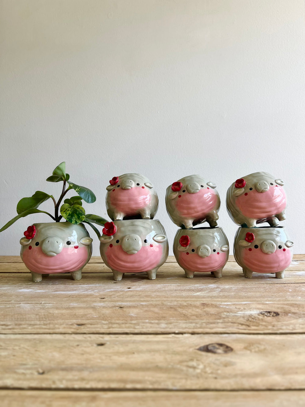 MOO DENG small planter #2, photo 13 of 13