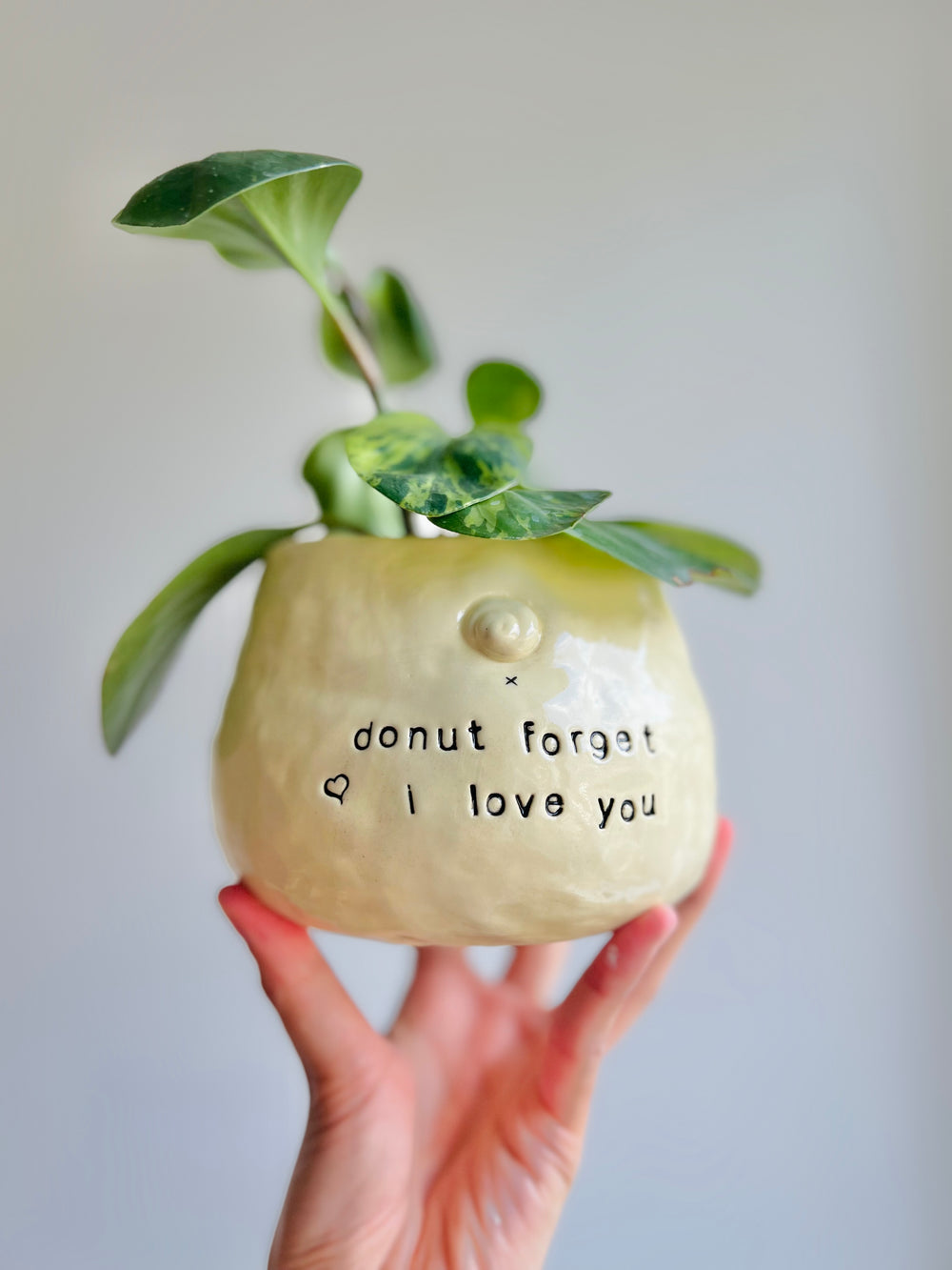 Donut pun love puggo pot, photo 10 of 12