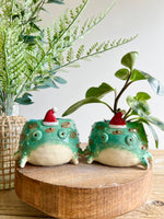 Festive grumpy Froggo planter #2