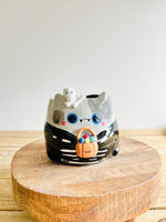 Trick or treat skeleton kitty pot