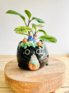 Black cat pot with Totoro and pumpkin friends