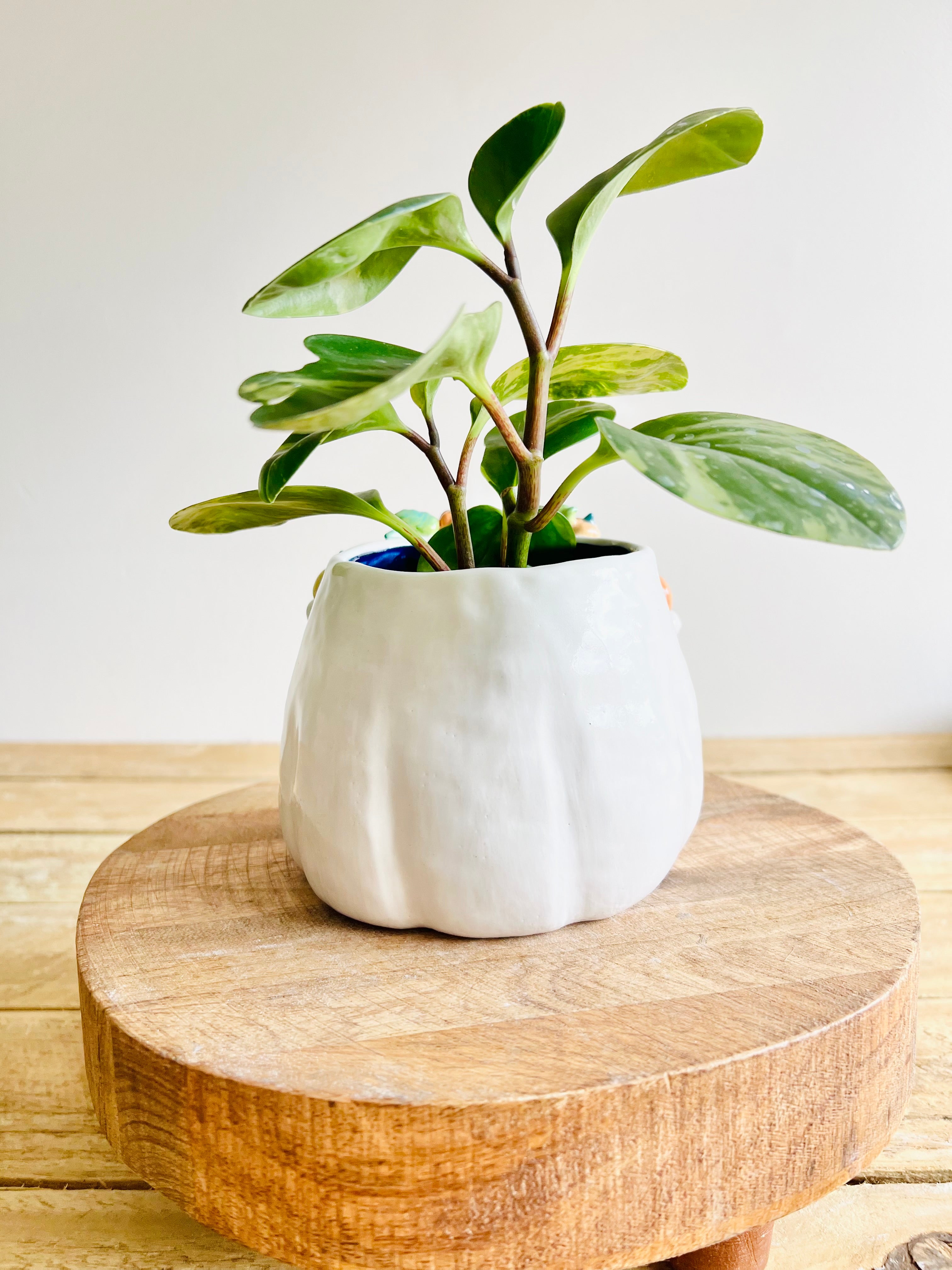 Flowery ghost pot with pumpkin friends