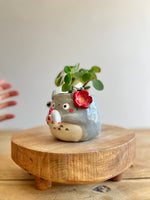 Planter pot