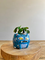 Small Derpy Pot