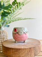 MOO DENG small planter #2