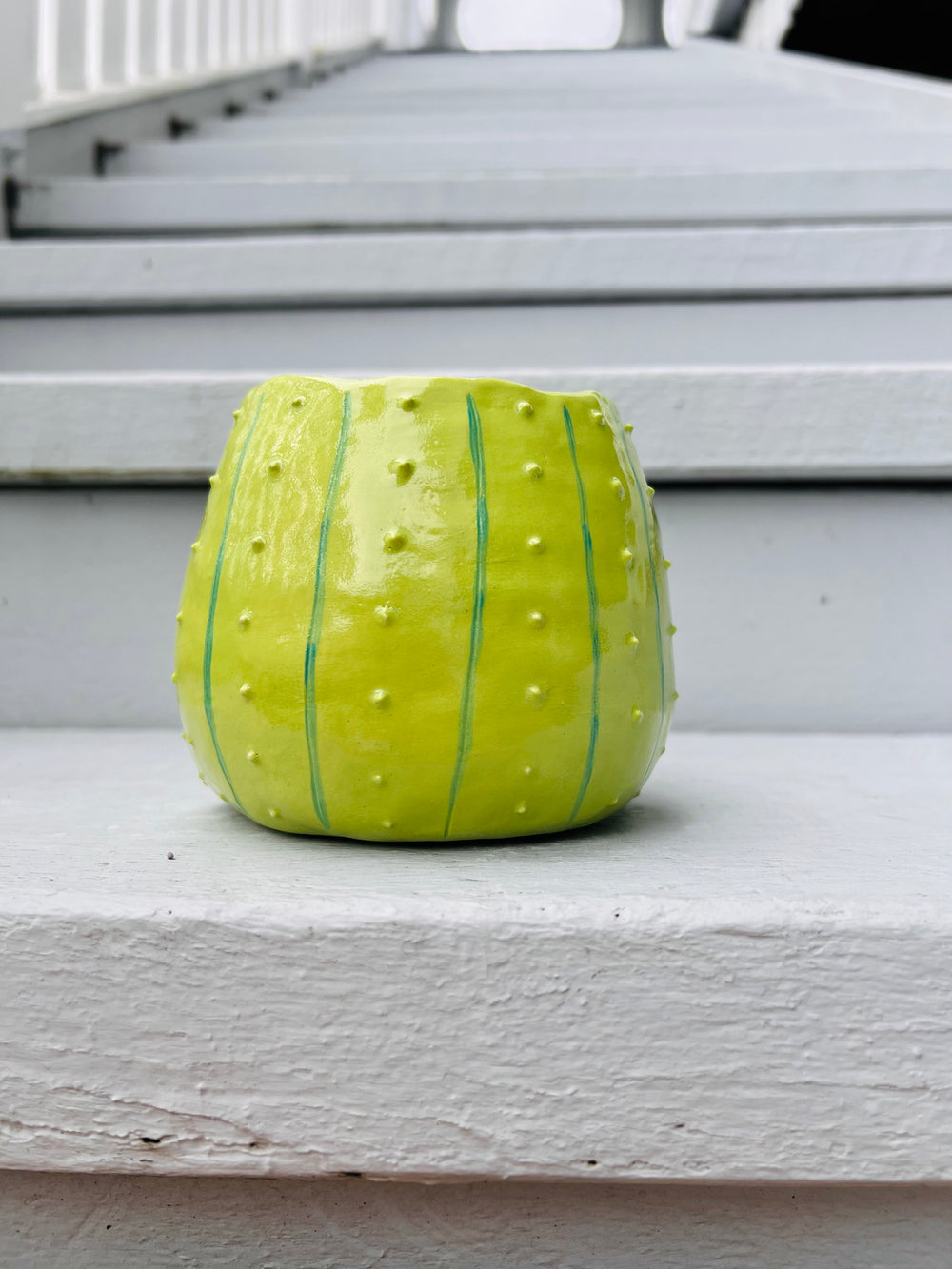 2in1 Cactus pot with grey cat vase friend, photo 3 of 7